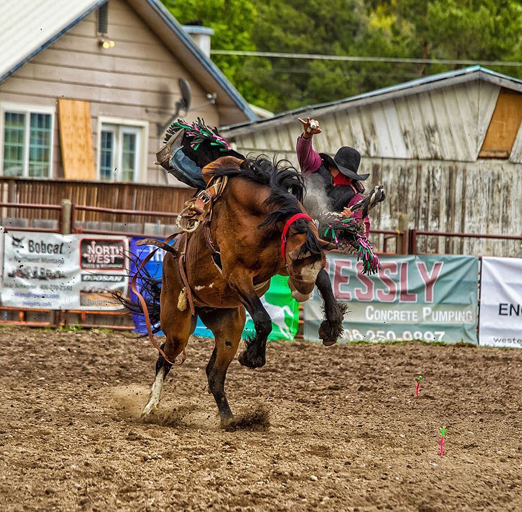Hot Springs will host Homesteaders Days Rodeo Lake County Leader